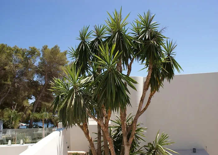 Villa Twin With Sea Views - 1029 Ibiza Town